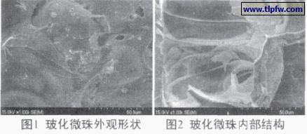 ?；⒅橥庥^(guān)形狀及內部結構
